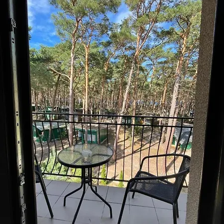 Dolce מיצ'יצ'ניו